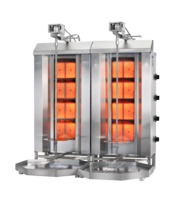 POTIS Z GD4/N (LPG/natural gas)